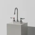 T&S Brass B-1110-187XWSCR