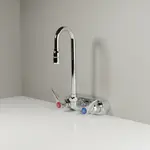 T&S Brass B-1115-132XN5CR