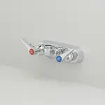 T&S Brass B-1115-CR-LN