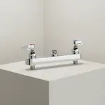 T&S Brass B-1120-CR-LN