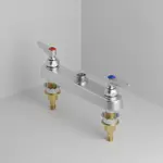 T&S Brass B-1120-XS-LN