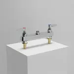 T&S Brass B-1120-XS-LNM