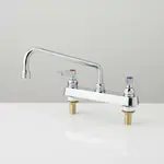 T&S Brass B-1123-XS-F12