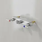 T&S Brass B-1125-CR-LNM