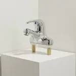 T&S Brass B-2711-VF05