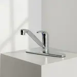 T&S Brass B-2731-WS-VR