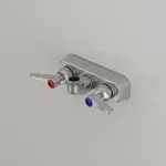 T&S Brass B-5115-CR-LN