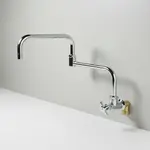 T&S Brass BF-0299-18DJ