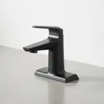 T&S Brass BP-2712-MB