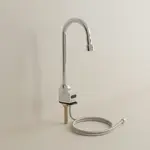 T&S Brass EC-3100-BA