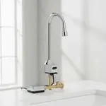 T&S Brass EC-3100-HG