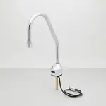 T&S Brass EC-3100-LF22-SB