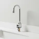 T&S Brass EC-3100-LMV