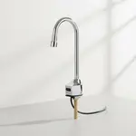 T&S Brass EC-3100-VF05