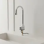 T&S Brass EC-3100-VF05-HG