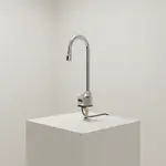 T&S Brass EC-3100-VF05THG