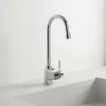 T&S Brass EC-3100-VF15