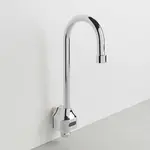 T&S Brass EC-3101-HG