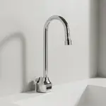 T&S Brass EC-3101-VF5-TMV