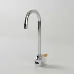 T&S Brass EC-3101-XP-LF10