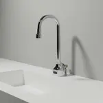 T&S Brass EC-3101TMVHGF10