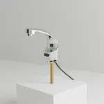 T&S Brass EC-3102-HG