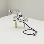 T&S Brass EC-3104-HG