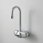 T&S Brass EC-3105-167X