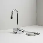 T&S Brass EC-3105-LMV