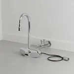 T&S Brass EC-3105-LN