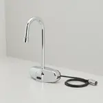 T&S Brass EC-3105-VF10