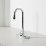 T&S Brass EC-3107-VF05-HG