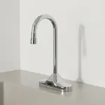 T&S Brass EC-3107-VF12