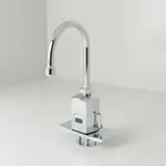 T&S Brass EC-3130-4DP