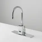 T&S Brass EC-3130-8DP