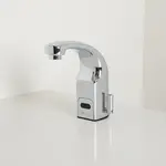 T&S Brass EC-3132-HG