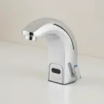 T&S Brass EC-3142-HG