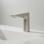 T&S Brass ECW-3162-BN