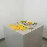 T&S Brass HG-2D-48SK-PS