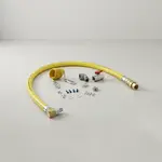 T&S Brass HG-4C-60SEL