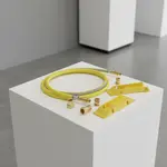 T&S Brass HG-4D-60-PS