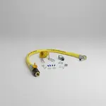 T&S Brass HG-4E-72G-SEL