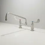 T&S Brass S-0221-CR-WH4