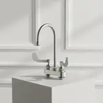 T&S Brass S-1141-04-CR