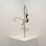 T&S Brass SMPF-2DLN-06-CR