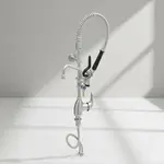 T&S Brass SMPF-2LSN-06