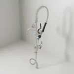 T&S Brass SMPM-2LSN-06