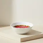 Thunder Group 1004TR