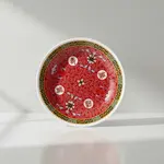 Thunder Group 1009TR