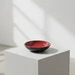 Thunder Group 1101JBR